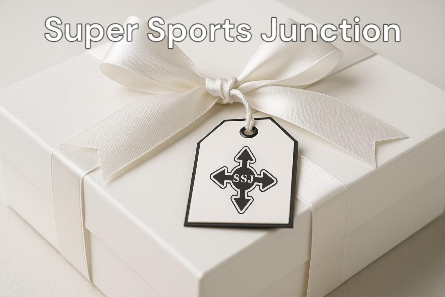 Figure Skating Stud Earrings. Gold Plated 925 Sterling Silver Jewelry for Women Minimalist Gift for Skater, Coach or Athlete Sports Earrings