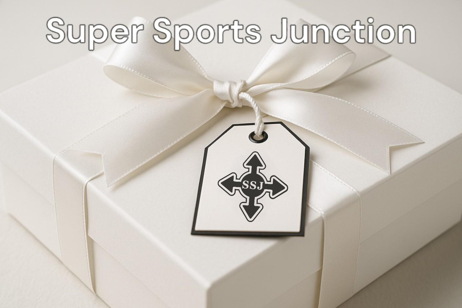 Figure Skating Stud Earrings – 925 Silver Jewelry Gift for Women, Skaters, Coaches or Fans